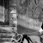 Gallery 2 - Woman sitting on a porch with a dog and Johnny Cash at Folsom Prison on her black t-shirt
