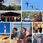 Soaring with the Kuaka: Migrations of Knowledge and Future Making from Aotearoa to Addison County