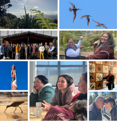 Soaring with the Kuaka: Migrations of Knowledge and Future Making from Aotearoa to Addison County